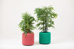BuzziKnit Office Planter in Green and Light Red Finish