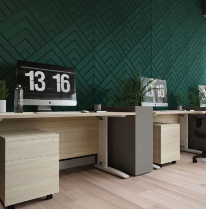 Acoustic Celing Lighting in Meeting Room