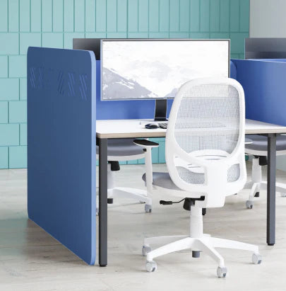 Acoustic Celing Lighting in Meeting Room