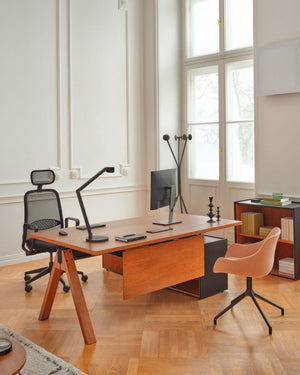 Viga Executive Desk With Ergonomic Chair And Bookshelves In Office Setting