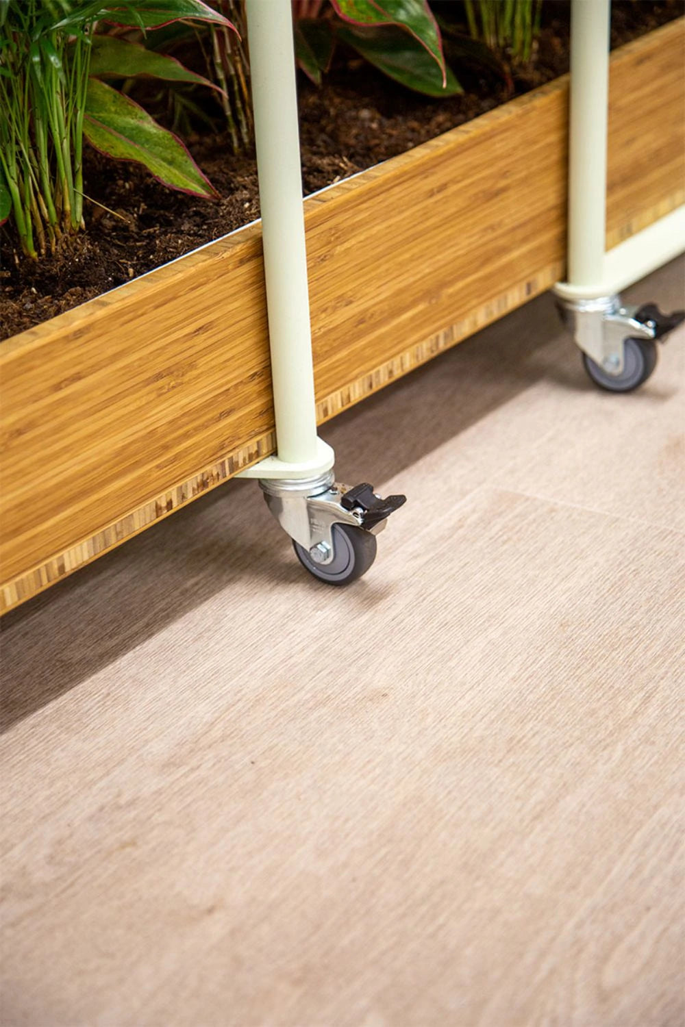 Bamboo Eco Friendly Planters 14