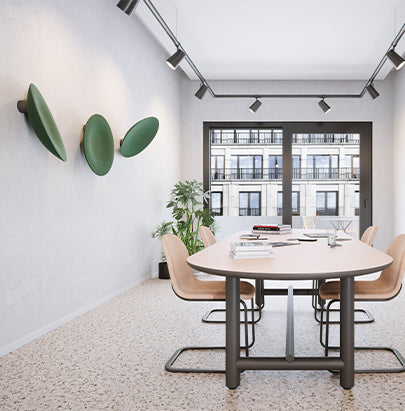 Acoustic Celing Lighting in Meeting Room