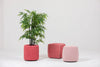 BuzziKnit Office Planter in Light Red Finish with Square and Round Pouffe