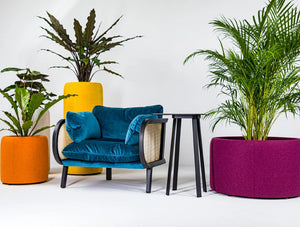 Buzziplanter 2 In Different Sizes And Colors With Blue Sofa And Side Table