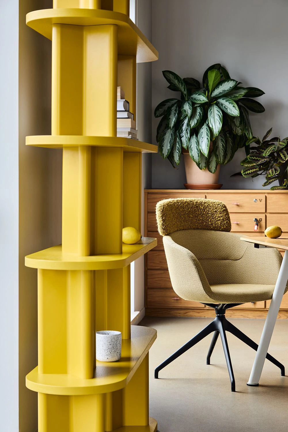 Cactus Nature-Inspired Rectangular Bookcase