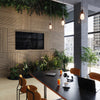 Ezobord Balsa Wooden Wall Panels With Plant And Office Chair In Meeting Room Setting