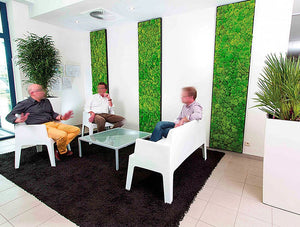 Green Mood Green Walls Ball Moss Euroscreen In Seating Area