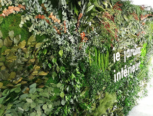 Green Mood Green Walls Forest Le Jardin Interieur Side View