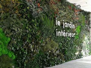 Green Mood Green Walls Forest Le Jardin Interieur