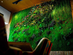 Green Mood Green Walls Forest In Passage Wall