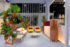 Hevea 5183 Space Partition with Pot Holders in Terracotta Finish with Yellow and Light Pink Sofa and Round Coffee Table