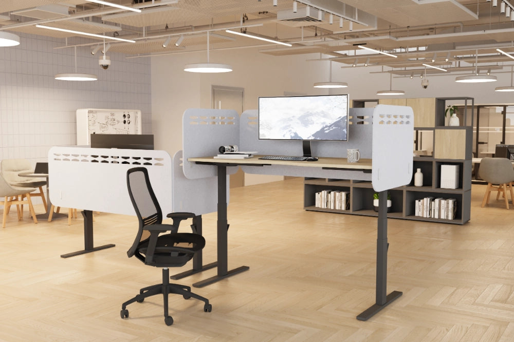 Koala Sit-Stand Desk Screen 12mm Full Screen in Light Grey Attached to Sit-Stand Desk with Black Mesh Back Armchair