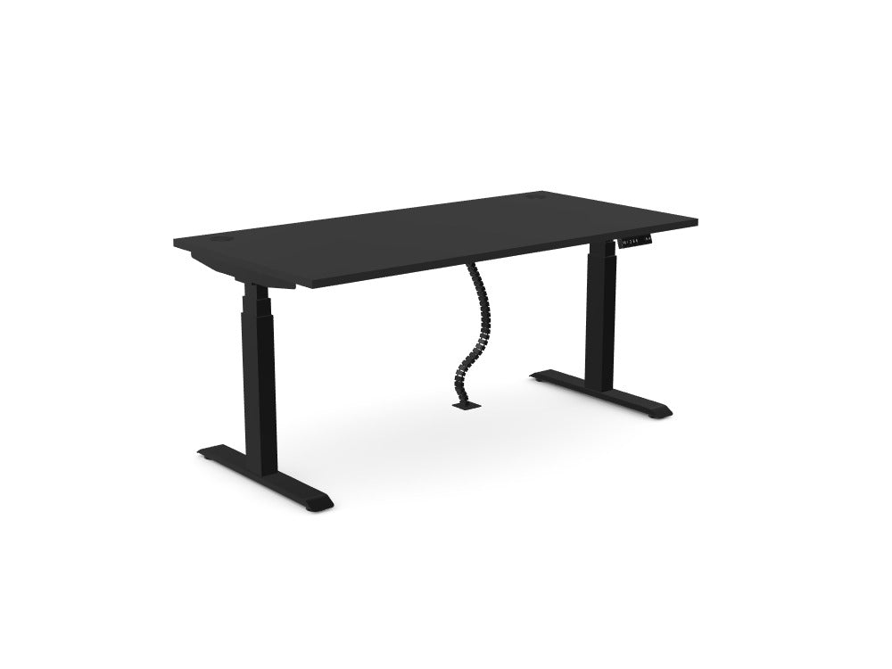 Custom Ws.D Levo Sit-Stand Desk - Ref: EXVXHE