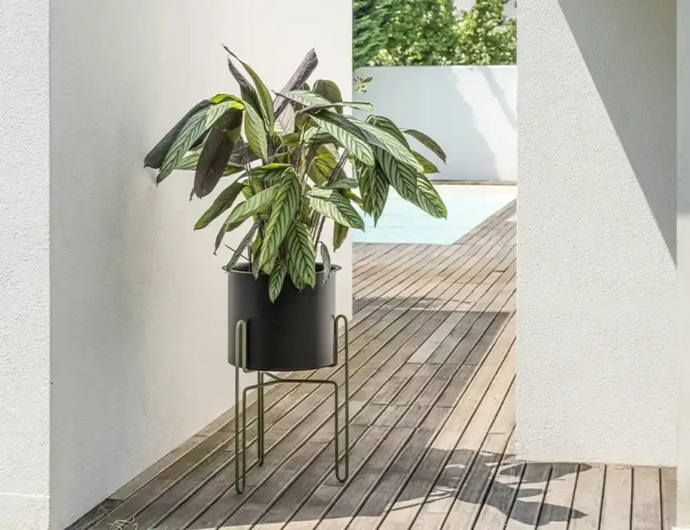 Meridius Plant Pot Holder in Outdoor Settings