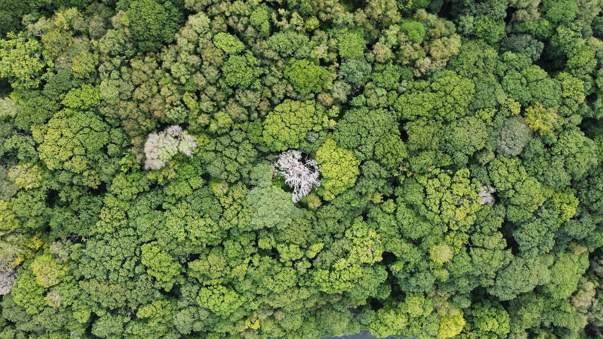 Radius Office Sustainability_2