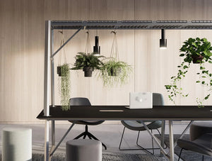 Relic Cloud Outdoor Themed Meeting Room Table With Grey Frame And Black Table Finish With Hanging Plants