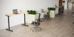 RoundE Bamboo Sit Stand Desk with Grey Mesh Back Armchair and Acoustic= Planter in Modern Office Setup