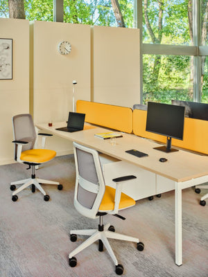 Sonic Ogi Acoustic Desk Screens with Bench Desk and Task Chair in Modern Office Setting 2