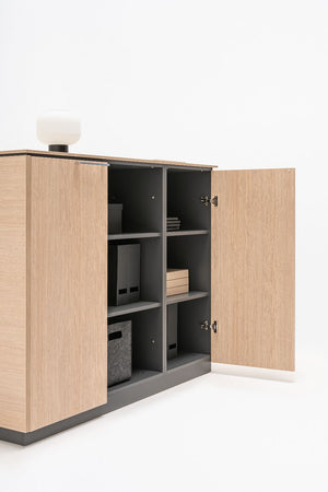 Status Executive Low Storage with Glass Doors Detail