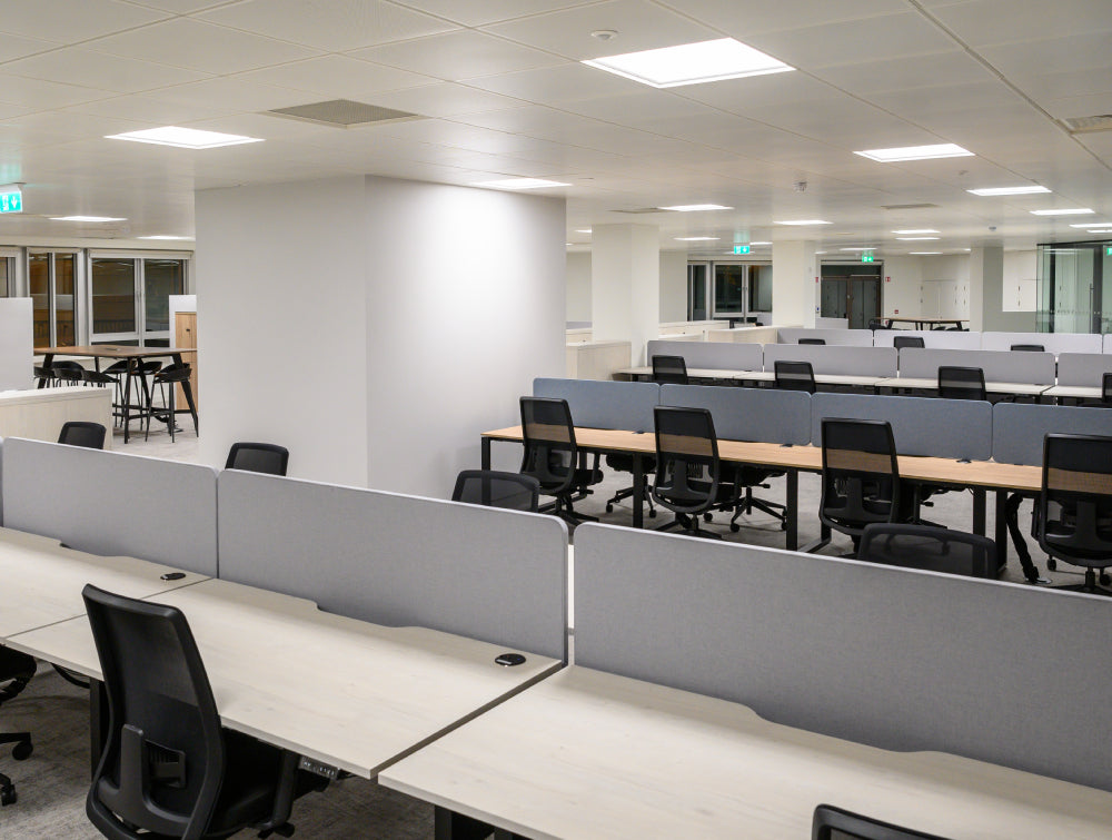 Task Chair In Black Finish With Desk Screen And Sit Stand Desk In Modern Office Setting