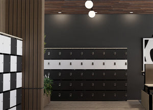 Uno Locker In Two Toned Door Finish With Wooden Sit Stand Desk And Acoustic Ceiling Light In Office Setting