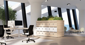 Uno Locker in Two Toned Finish with Wooden Sit Stand Desk and Metal Shelves for Planter in Office Setting