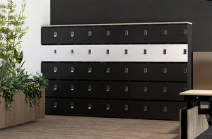 Uno Locker in Two Toned Finish with Wooden Planter and Sit Stand Desk in Executive Office Setting