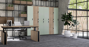 Uno Locker In Two Toned Finish With Wooden Sit Stand Desk And Metal Shelves For Planter In Office Setting