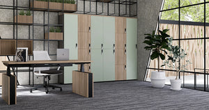 Uno Locker in Two Toned Finish with Wooden Sit Stand Desk and Metal Shelves for Planter in Office Setting