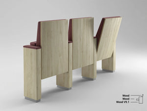 V9 Family Auditorium Seating 8