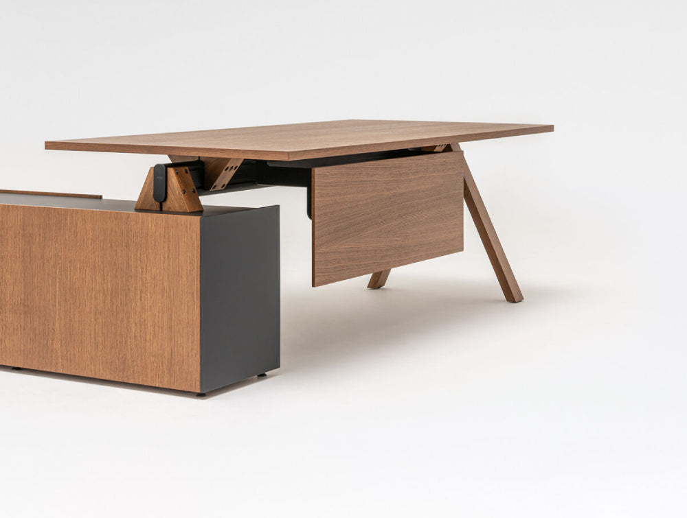Viga Executive Desk 4