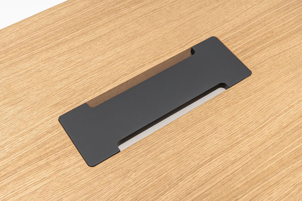Viga Executive Desk with Side Storage and Pedestal Power Module 2