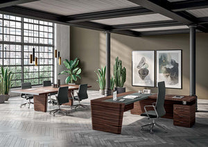 X10 Executive Table with High Back Chair and Indoor Plant in Modern Office Setting
